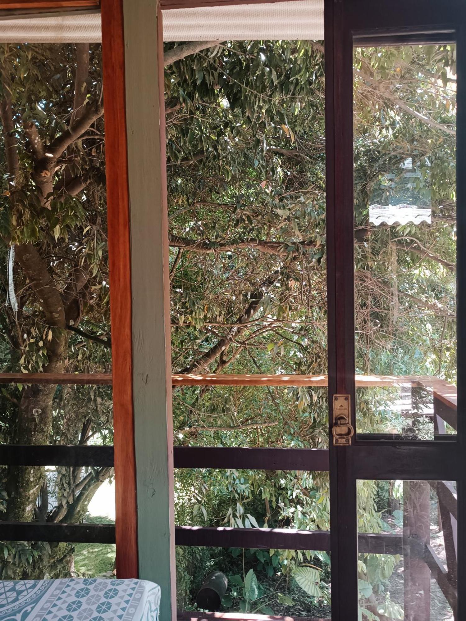 Gramado Guest House ภายนอก รูปภาพ